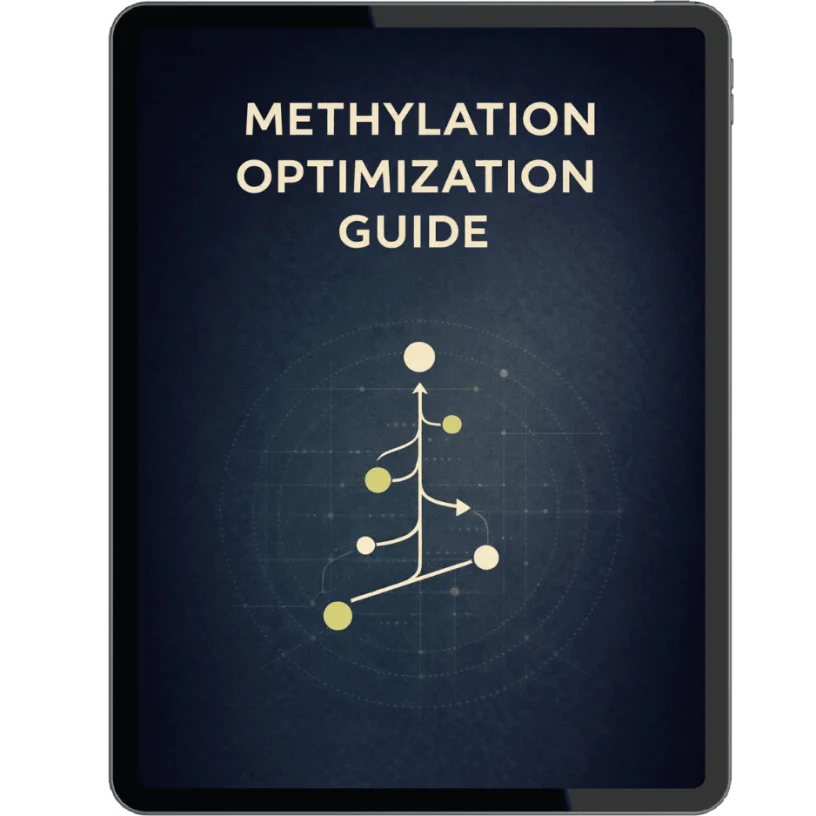 ancestral abundance code free bonus 3